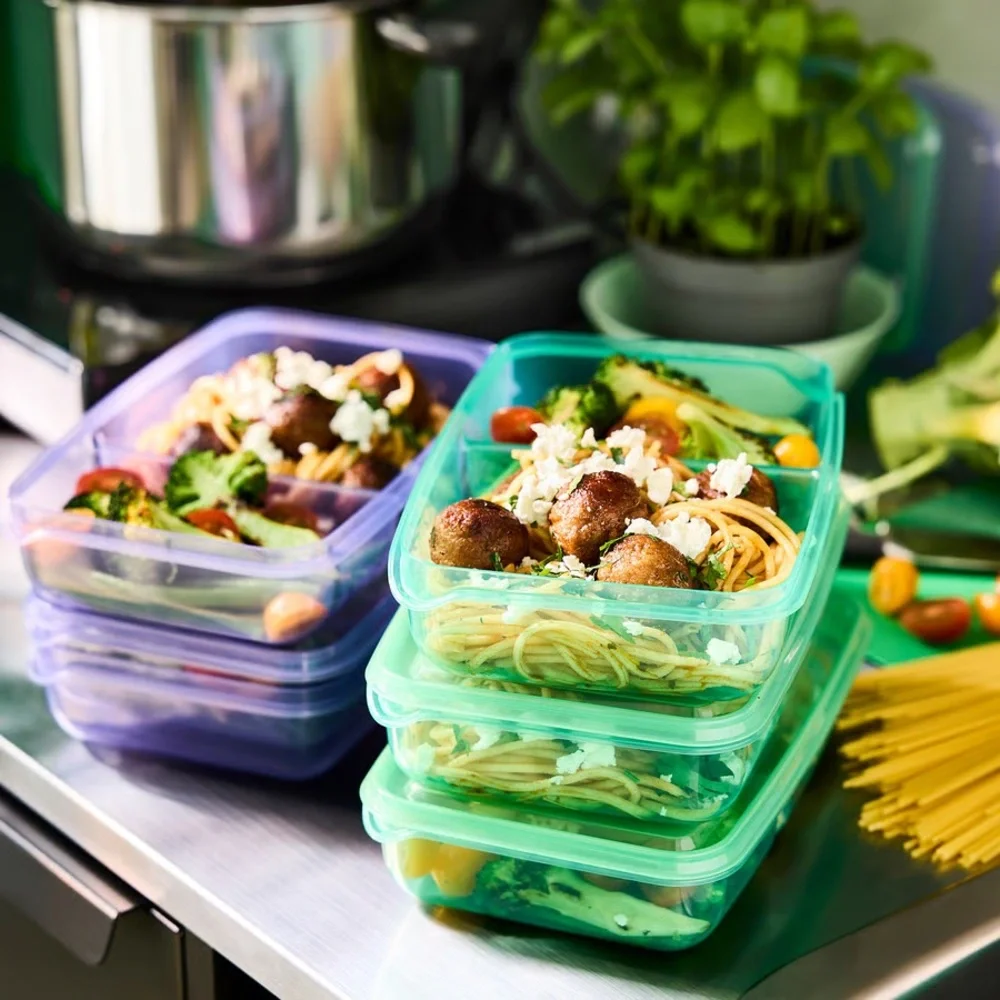 Sandwich Container with Lid - Lilac/Green (Set of 4)